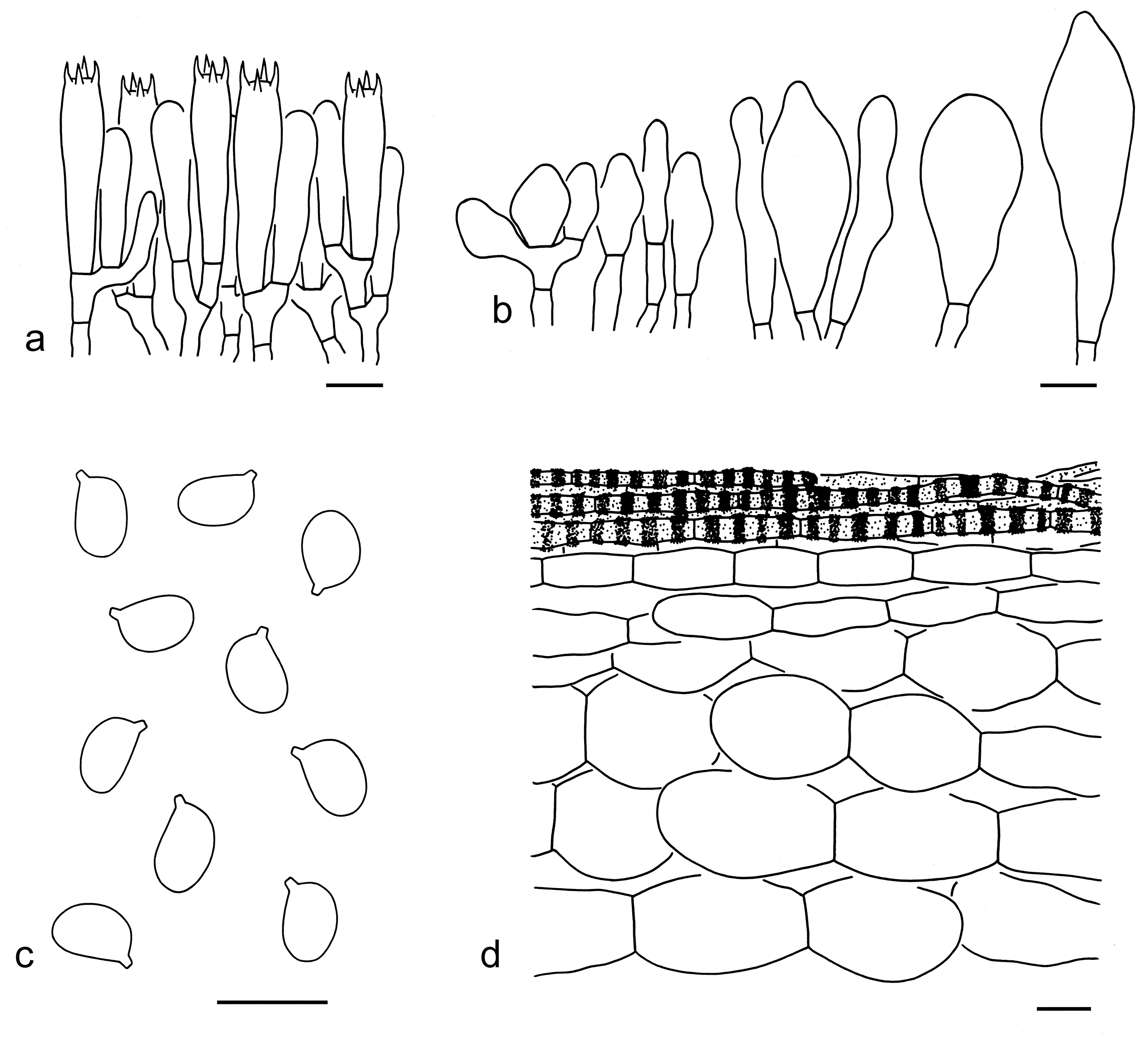 Figure 65